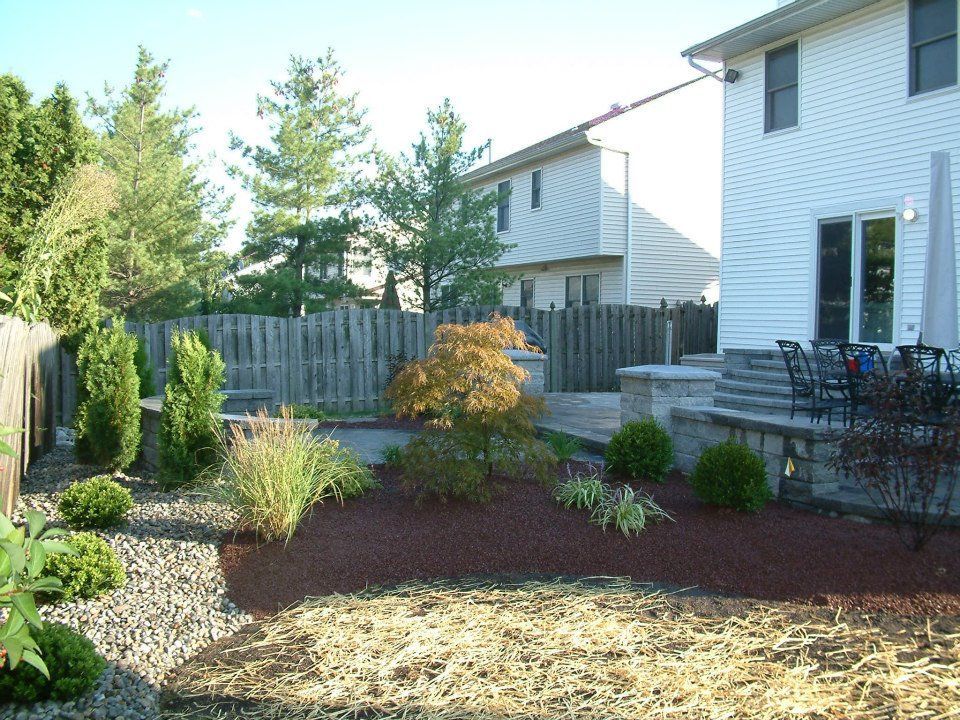 A backyard with a stone patio, red mulch garden beds, small evergreen shrubs, a Japanese maple, and a white house.