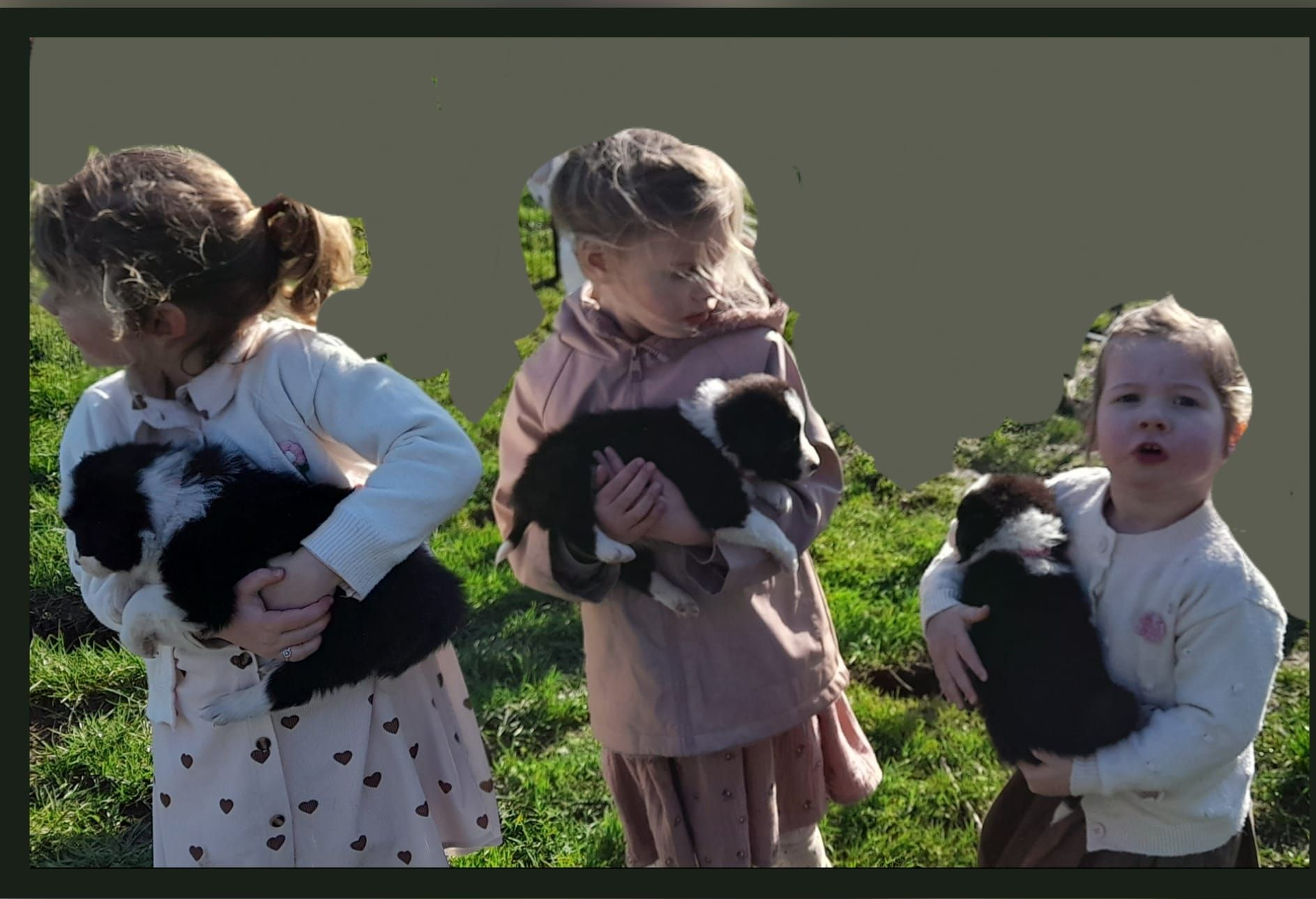 Drie kinderen met zwart-witte puppy's in een grasveld.