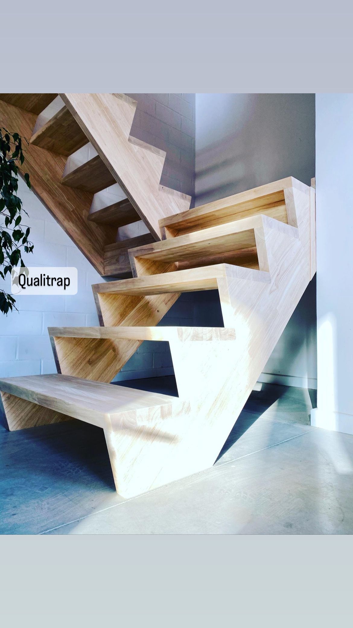 z-trap rubberwood