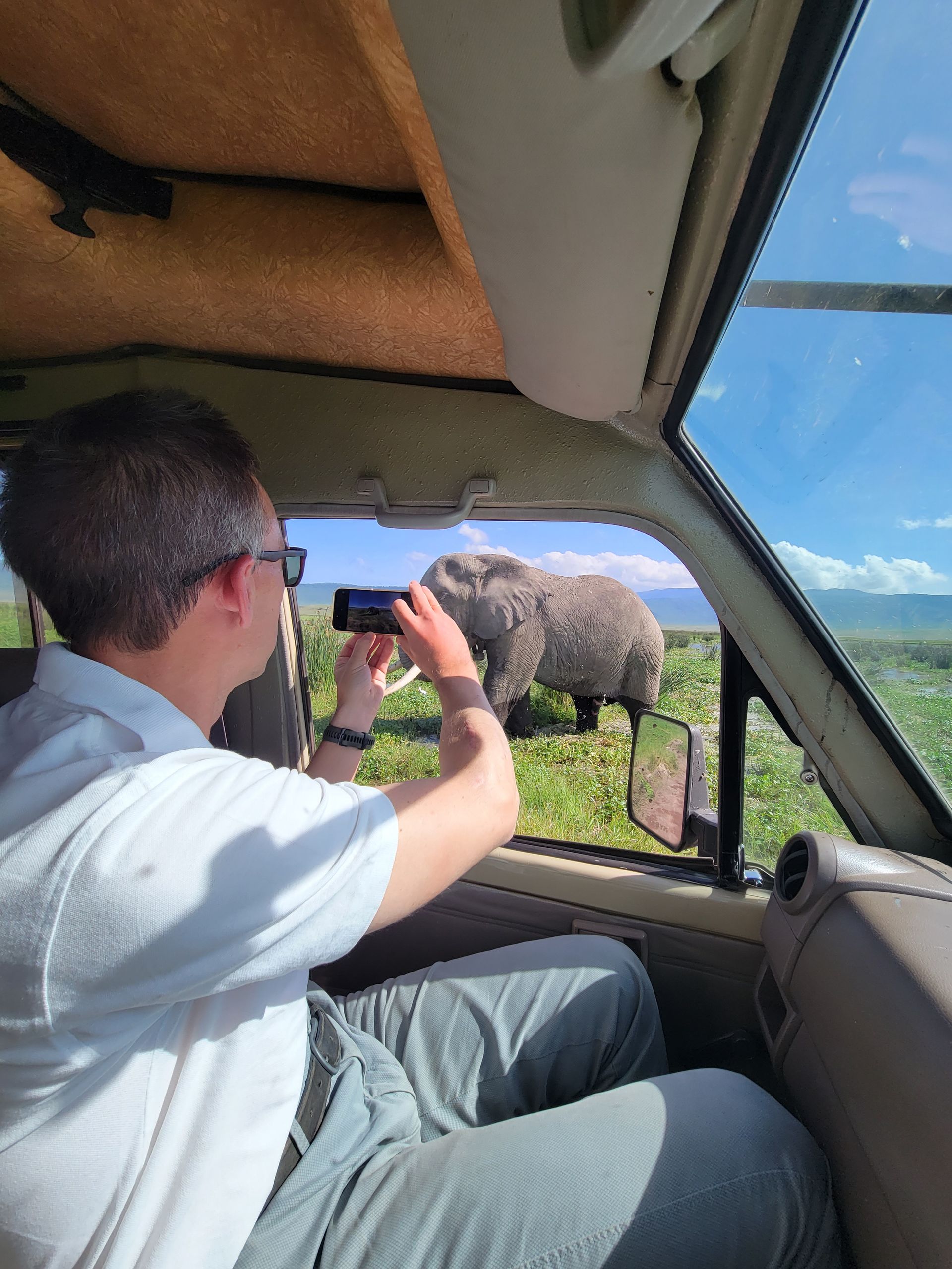 A person in a safari vehicle captures a photo of an elephant standing in a grassy field on a sunny day.
