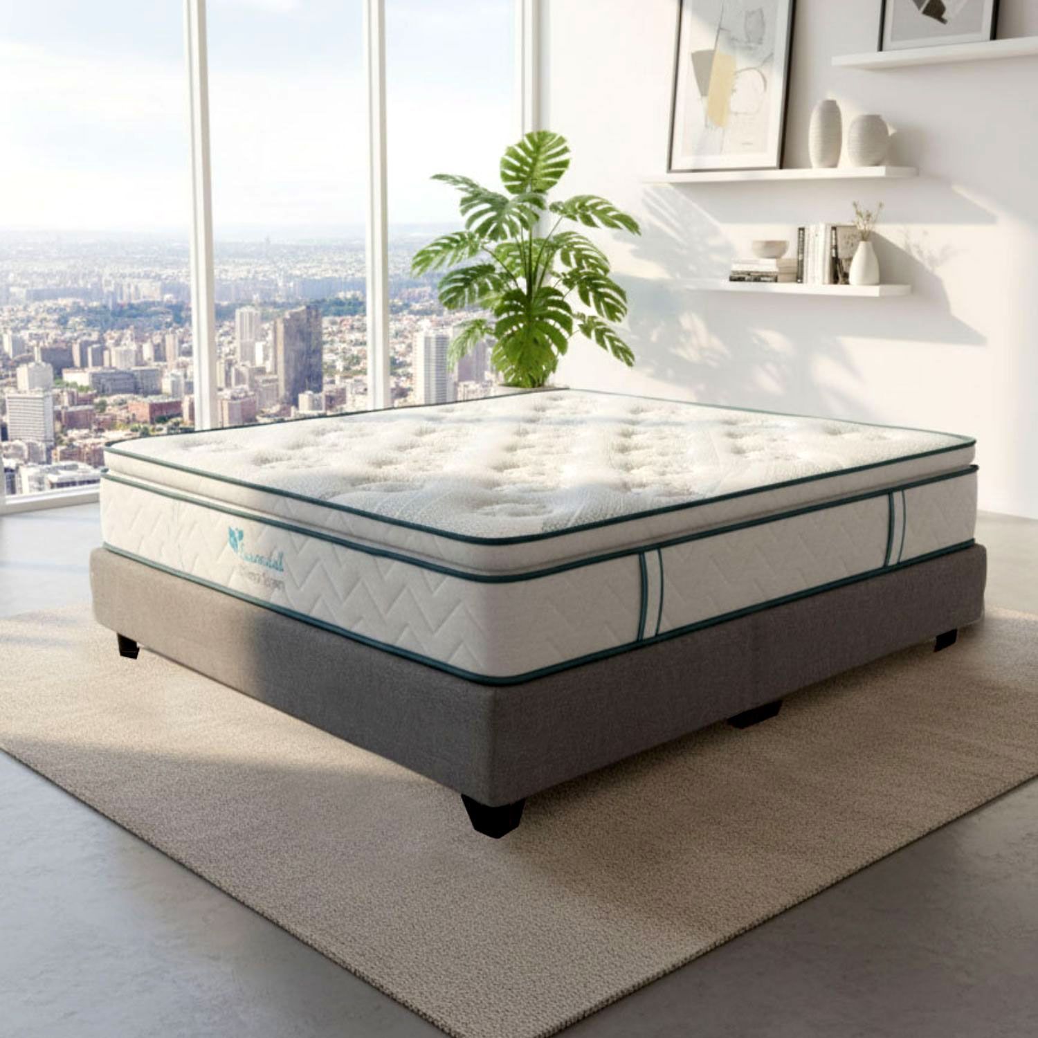 Colchón sobre una plataforma de cama gris en una habitación luminosa con vista a la ciudad, una planta y obras de arte.