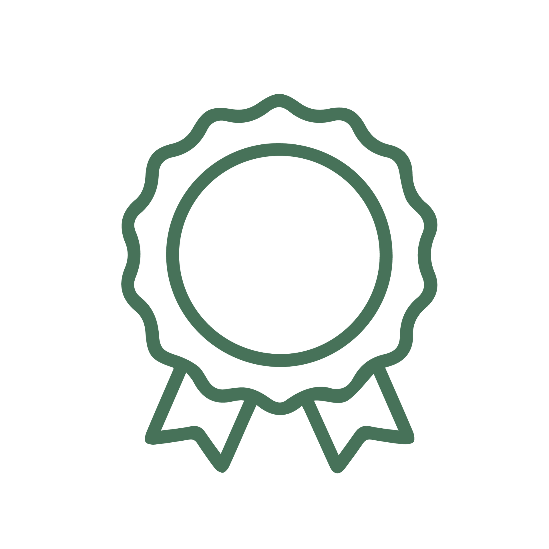 Insignia de premio verde con bordes festoneados y cinta.