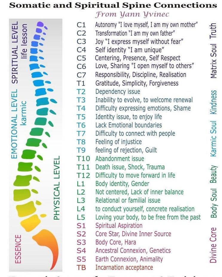 7 Gateways of the Spine Diagram — Spinal Flow Technique in Newcastle