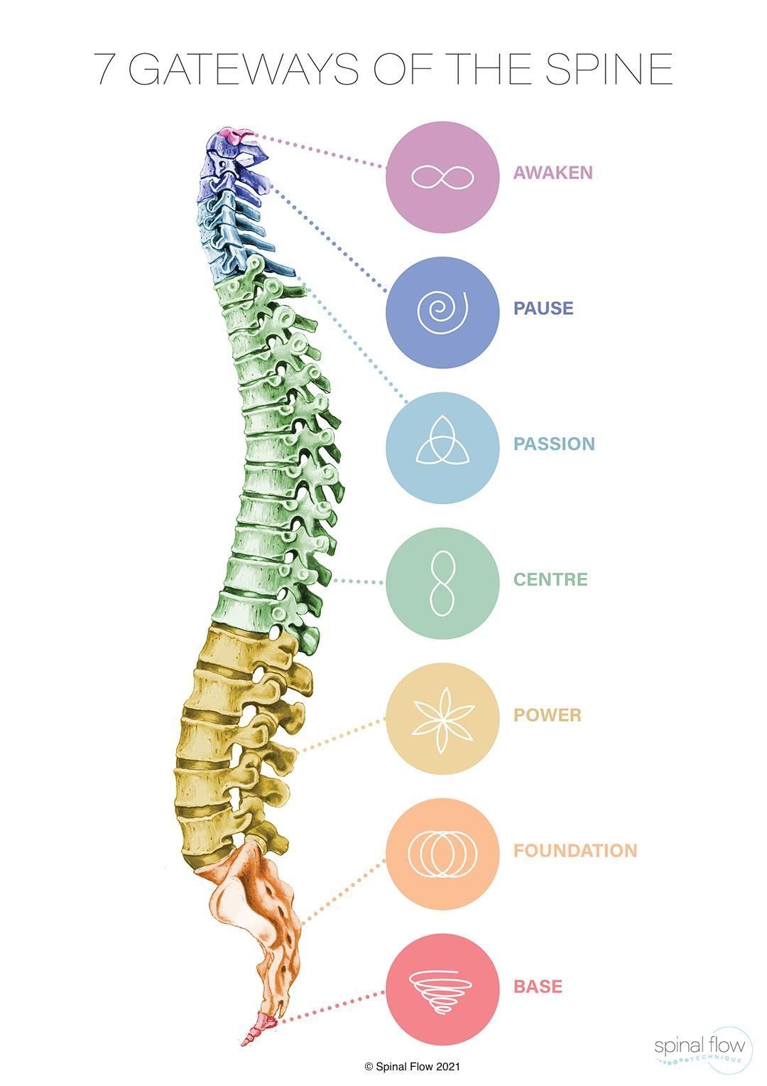 Somatic and Spiritual Spine Connection Diagram — Spinal Flow Technique in Newcastle