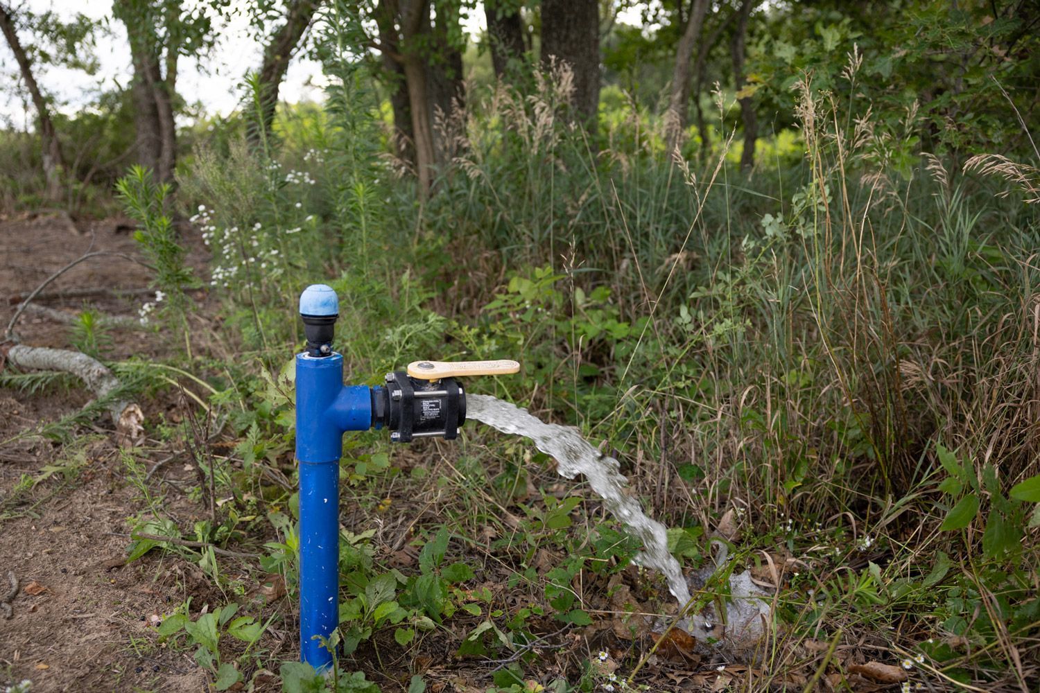 A subsurface irrigation flush pipe is spraying water in the woods.