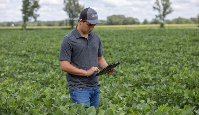 Scouting a bean field