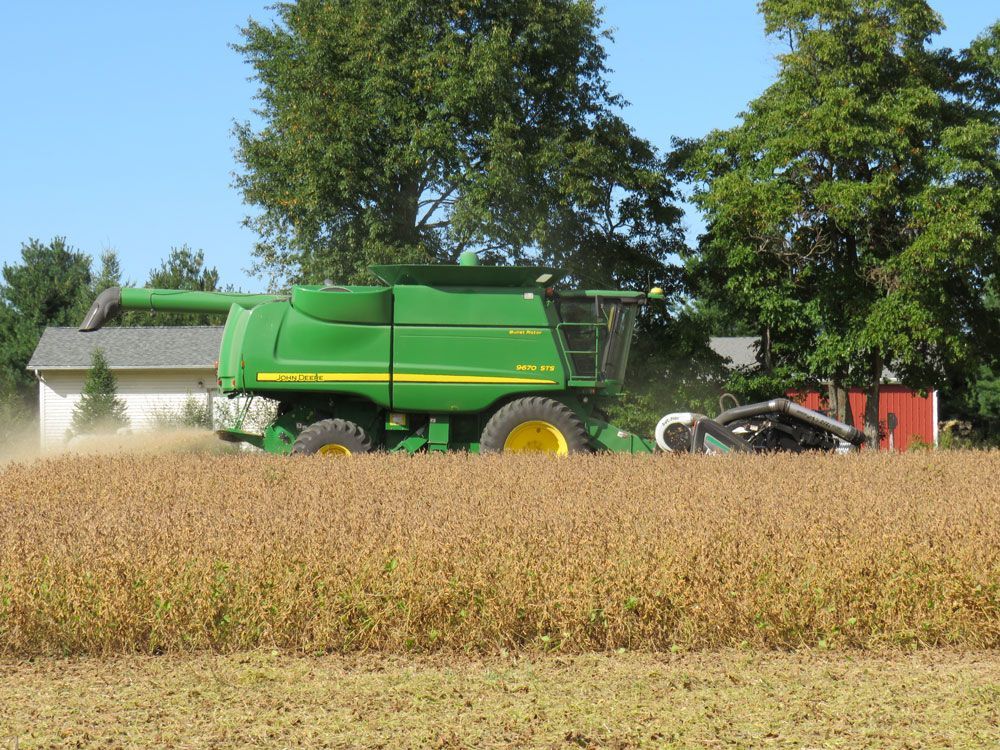 A green john deere combine harvester is working in a bean field