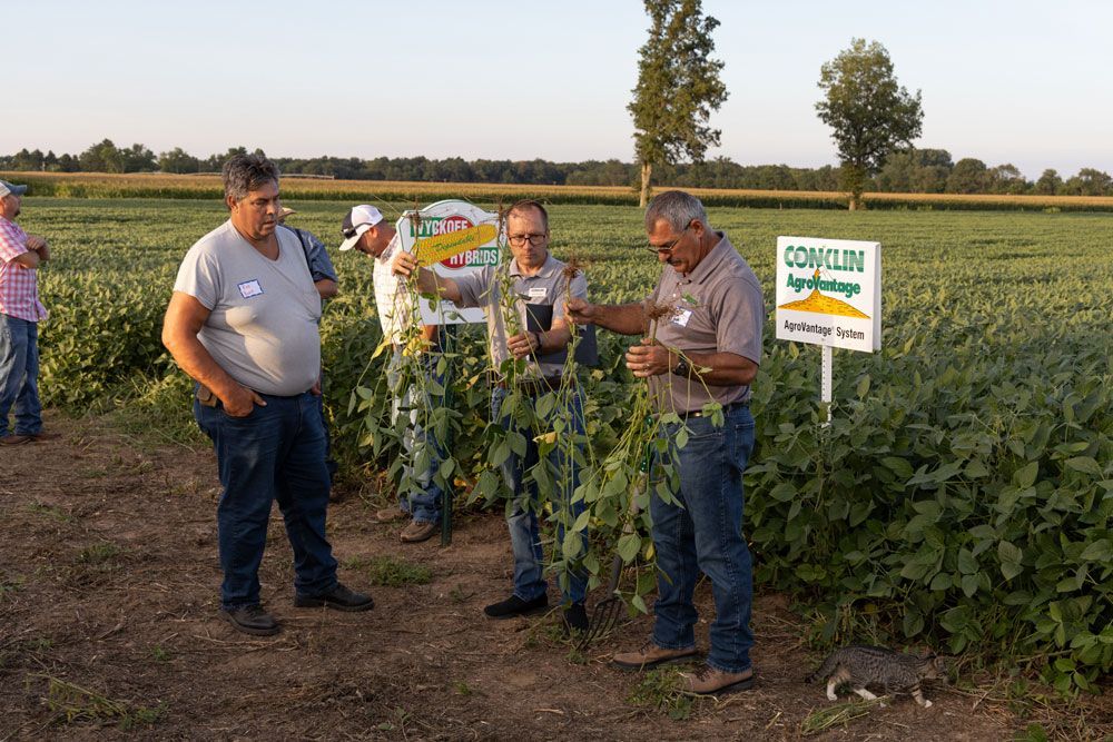 A group of men are standing in a field test plot looking at soybeans.