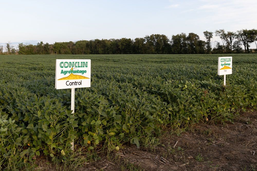 The Agri-Management test plot