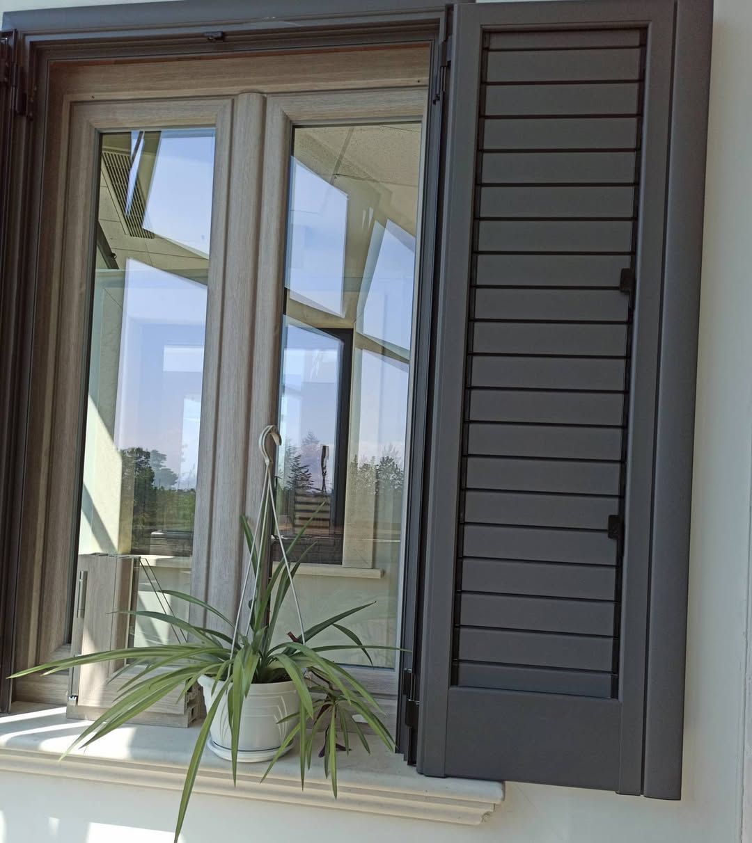 Finestra con persiana grigio scuro aperta, riflesso dell'esterno. Una pianta in vaso è sul davanzale.