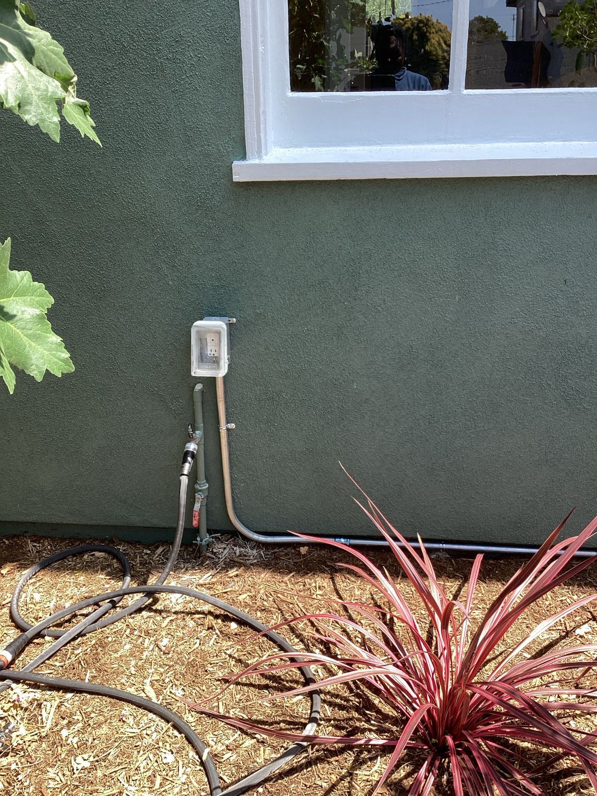 Green stucco wall with white-framed window. Outdoor electrical outlet and hose against the wall, with red plants and mulch.