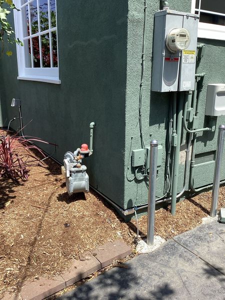 A green building exterior with gas meter, electrical box, and metal bollards. Brown mulch and red plants surround the base.