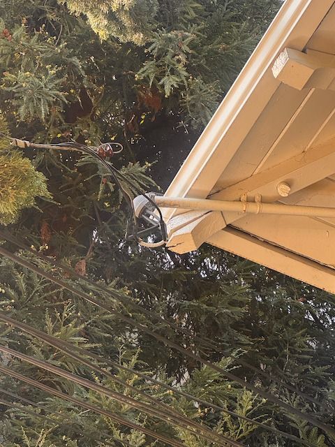 Power lines near a house's roof, with foliage in the background.