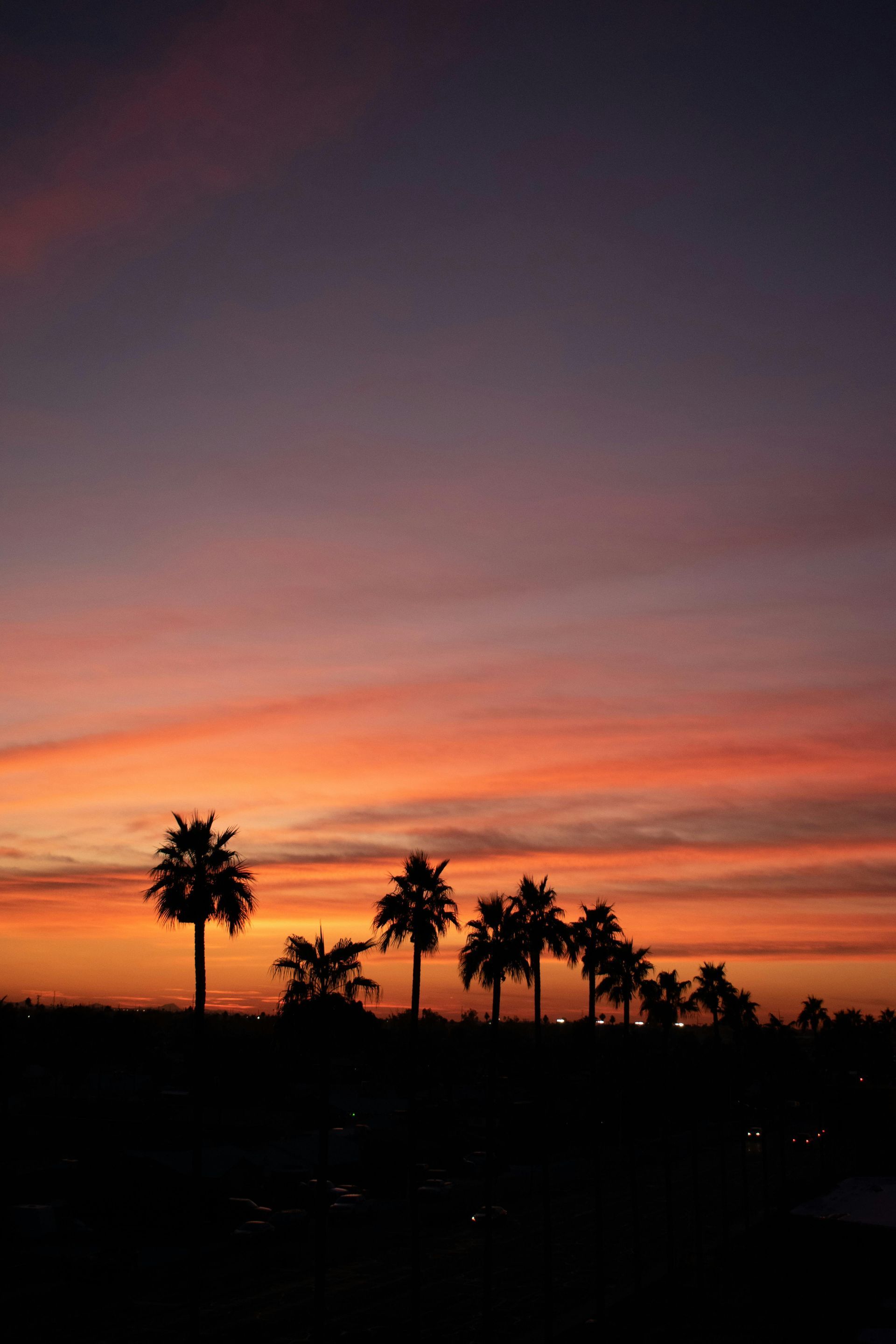 Sunset palm tree views of the Greater Phoenix Area