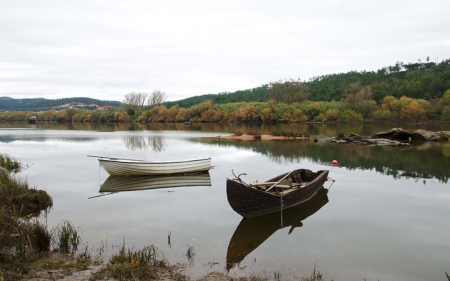 Boats in the Tejo river