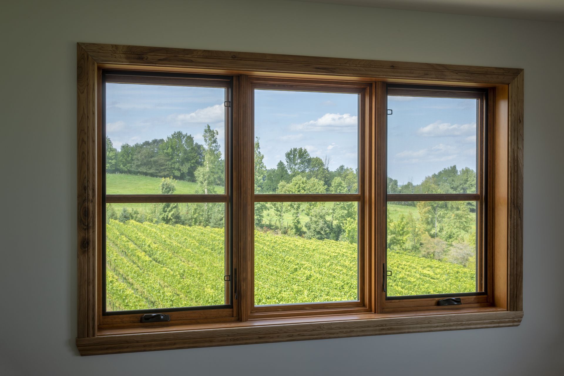 A large window with a view of a vineyard.