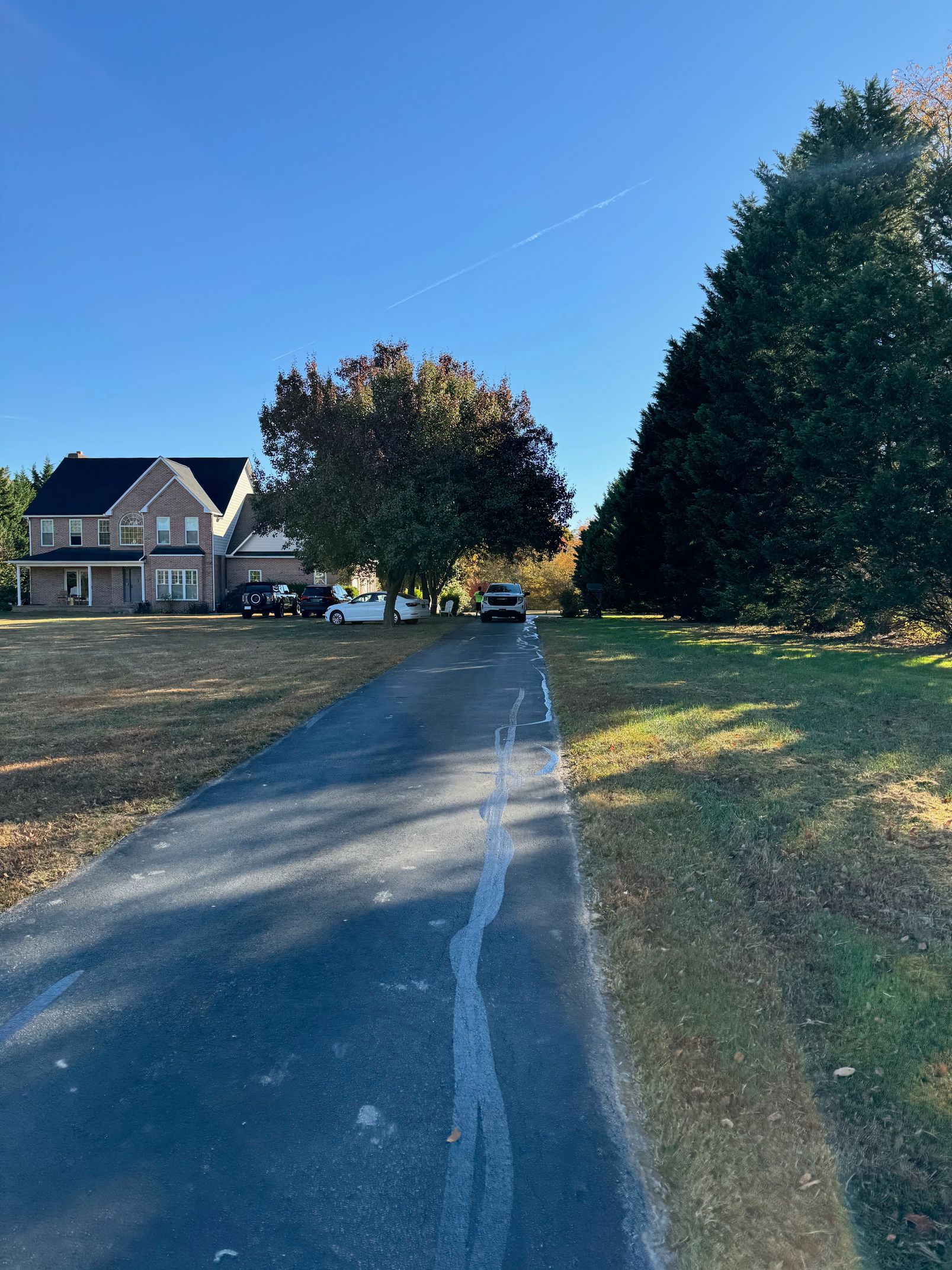 A Driveway Leading to A House with Trees on Both Sides.