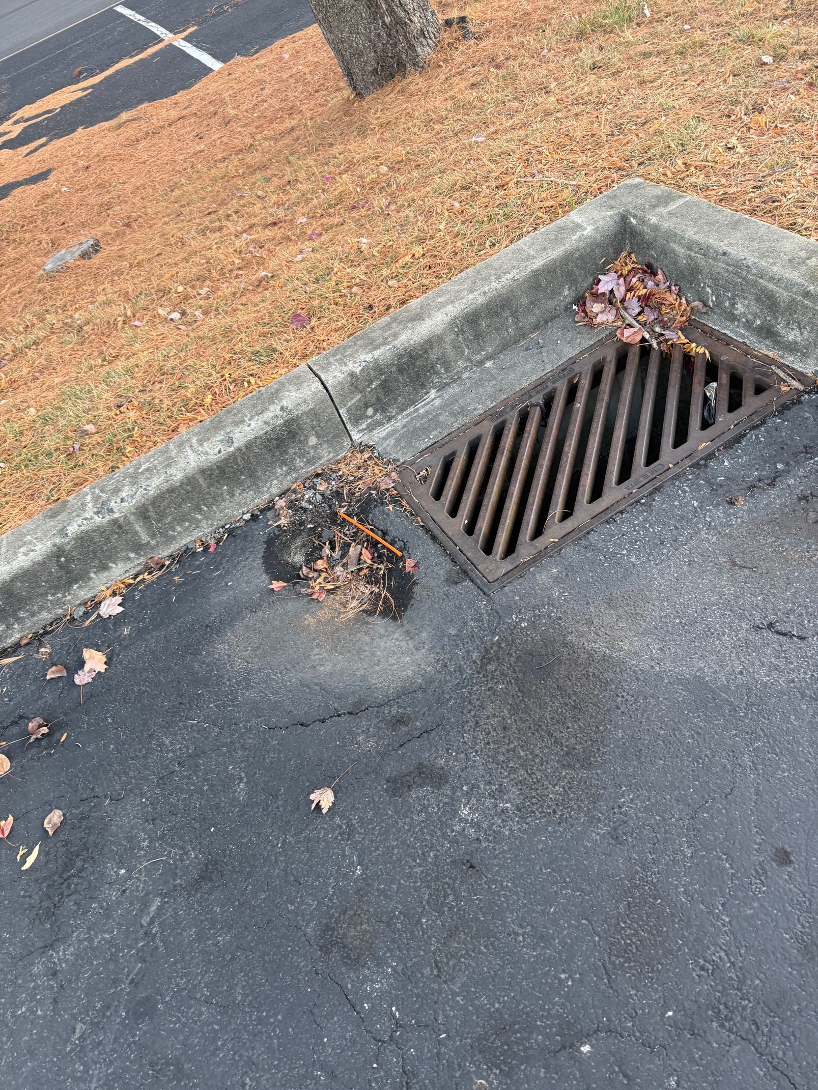 A Manhole Cover Is Sitting on The Side of A Road.