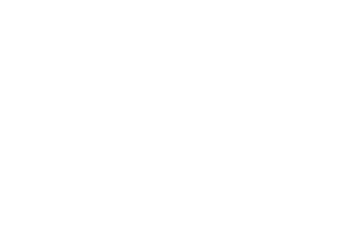 Big Island Housing Foundation Logo - Click to Go To Home Page