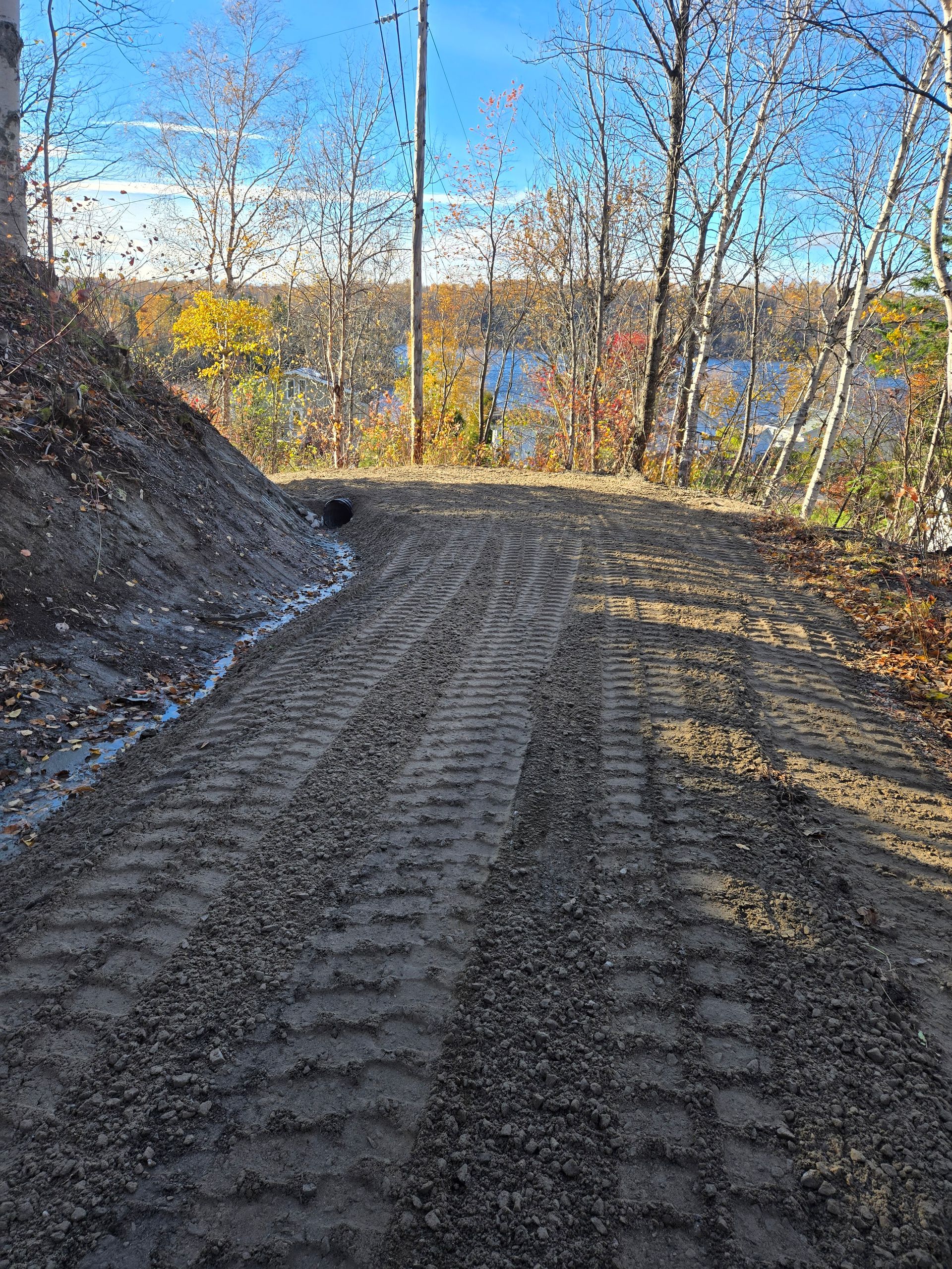 Un chemin de terre dans les bois avec un lac en arrière-plan.