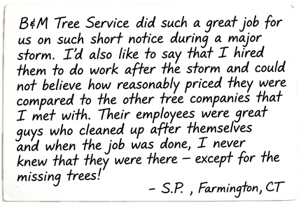 A handwritten testimonial for B&M Tree Service from a customer in Farmington, CT praising their quick, affordable work.