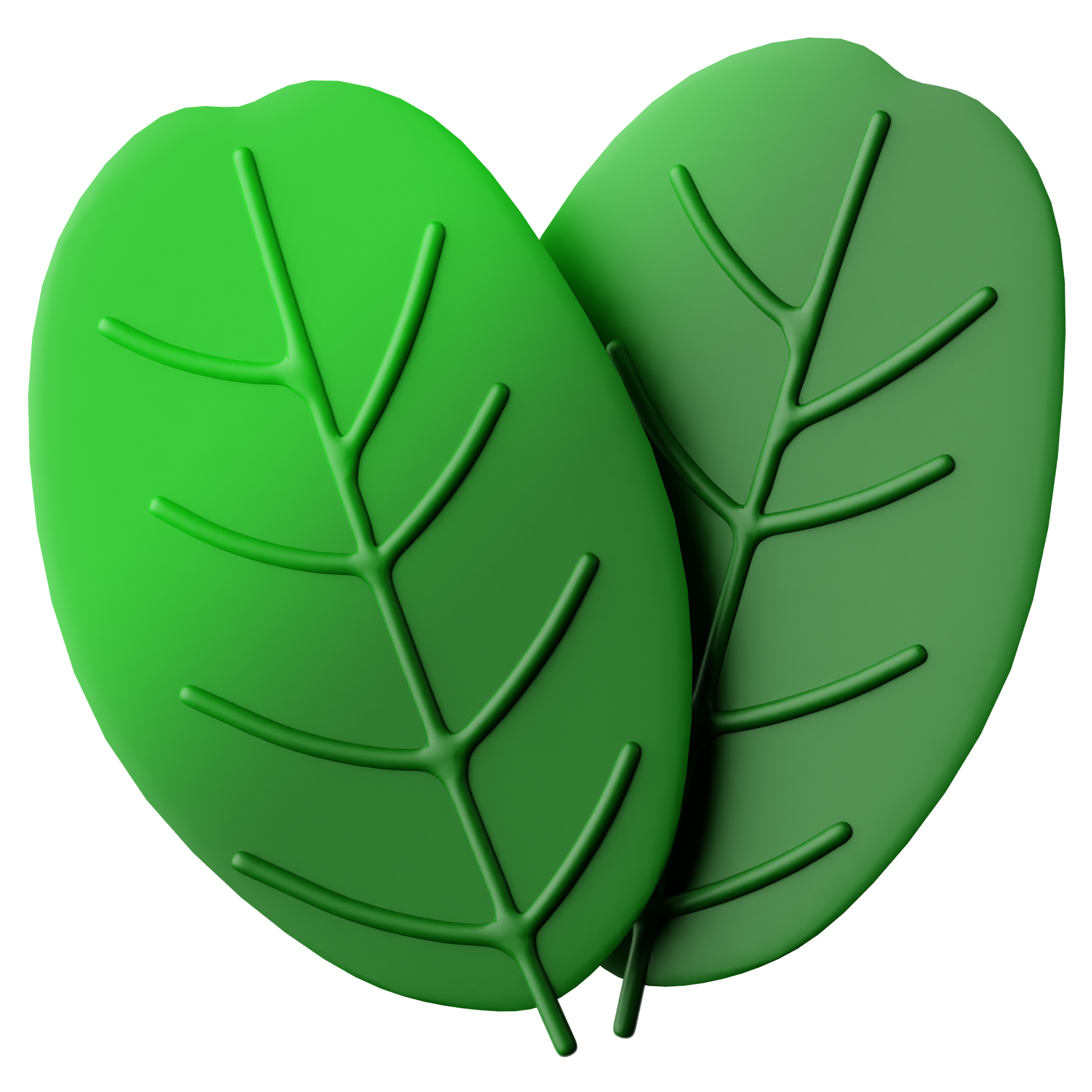 Two stylized, 3D green leaves with raised veins on a plain white background.