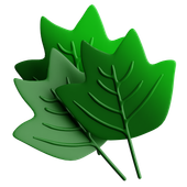 A stylized graphic of three overlapping leaves in varying shades of green with prominent, raised veins.