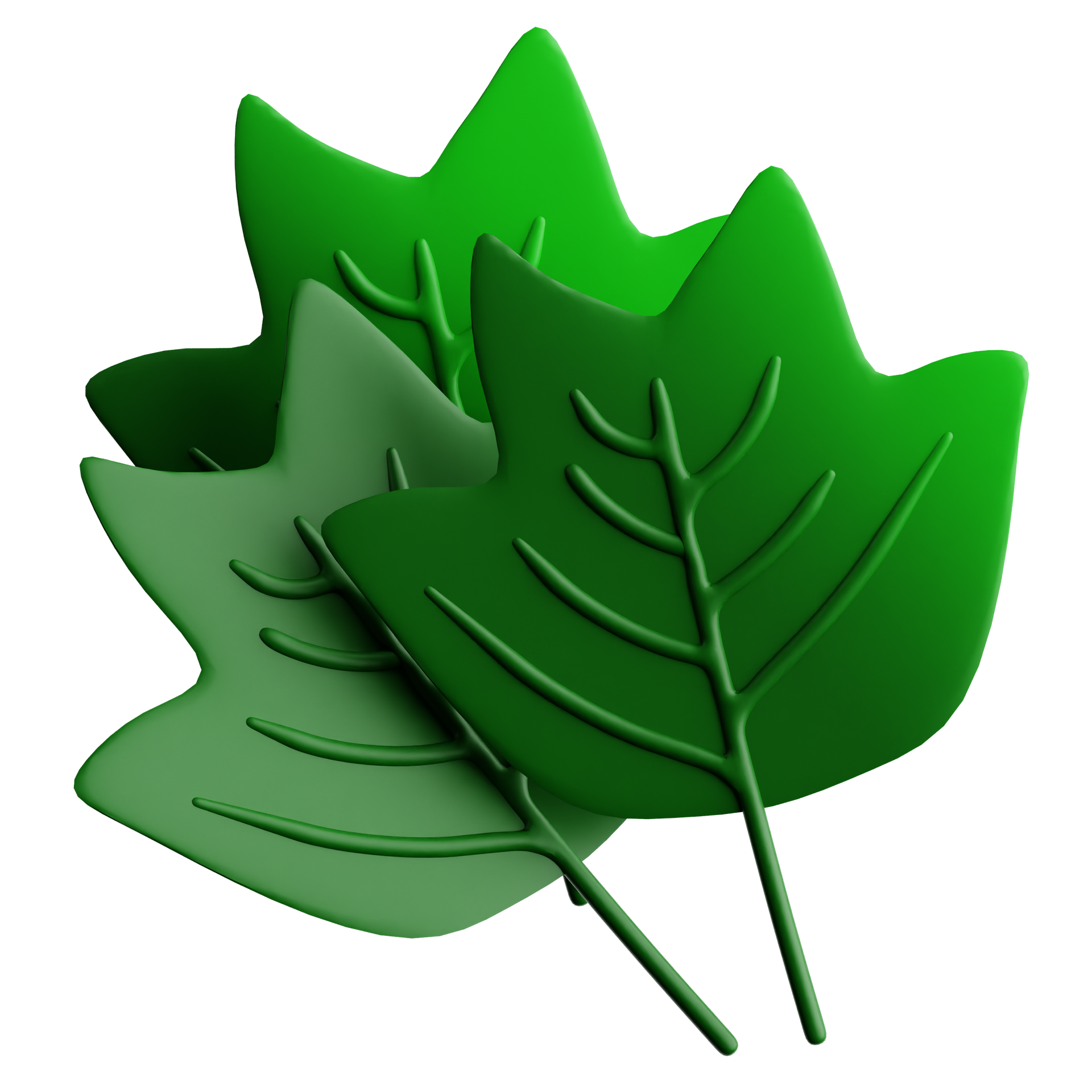 A stylized graphic of three overlapping leaves in varying shades of green with prominent, raised veins.