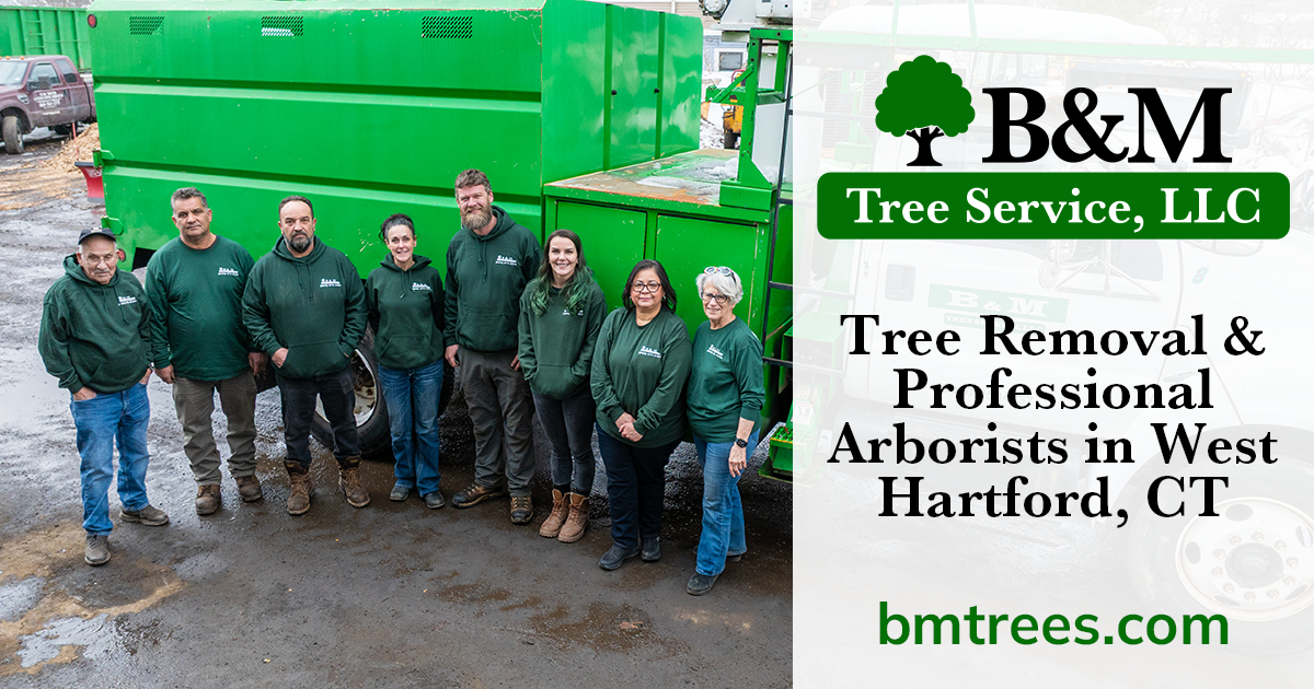 B&M Tree Service, LLC work site