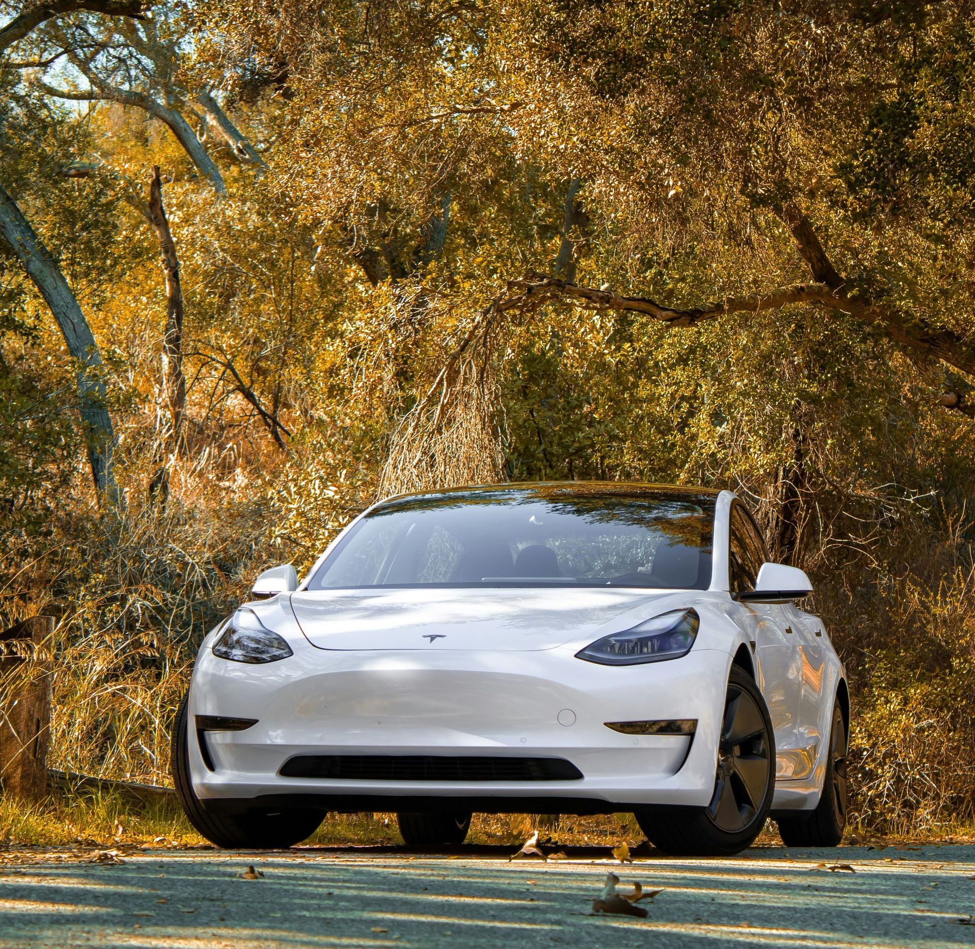 A white tesla model 3 is parked on the side of a road in the woods.
