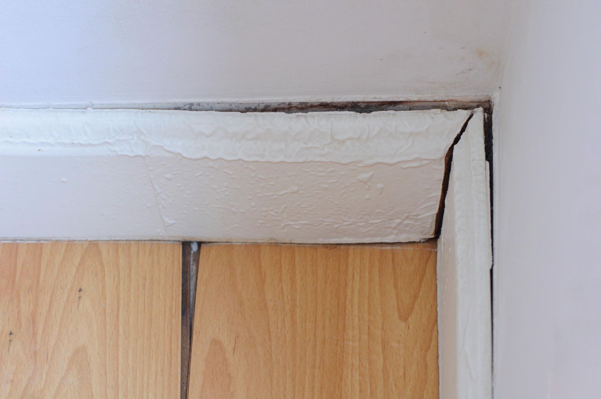 Moldy white trim around a door frame, near the ceiling. 