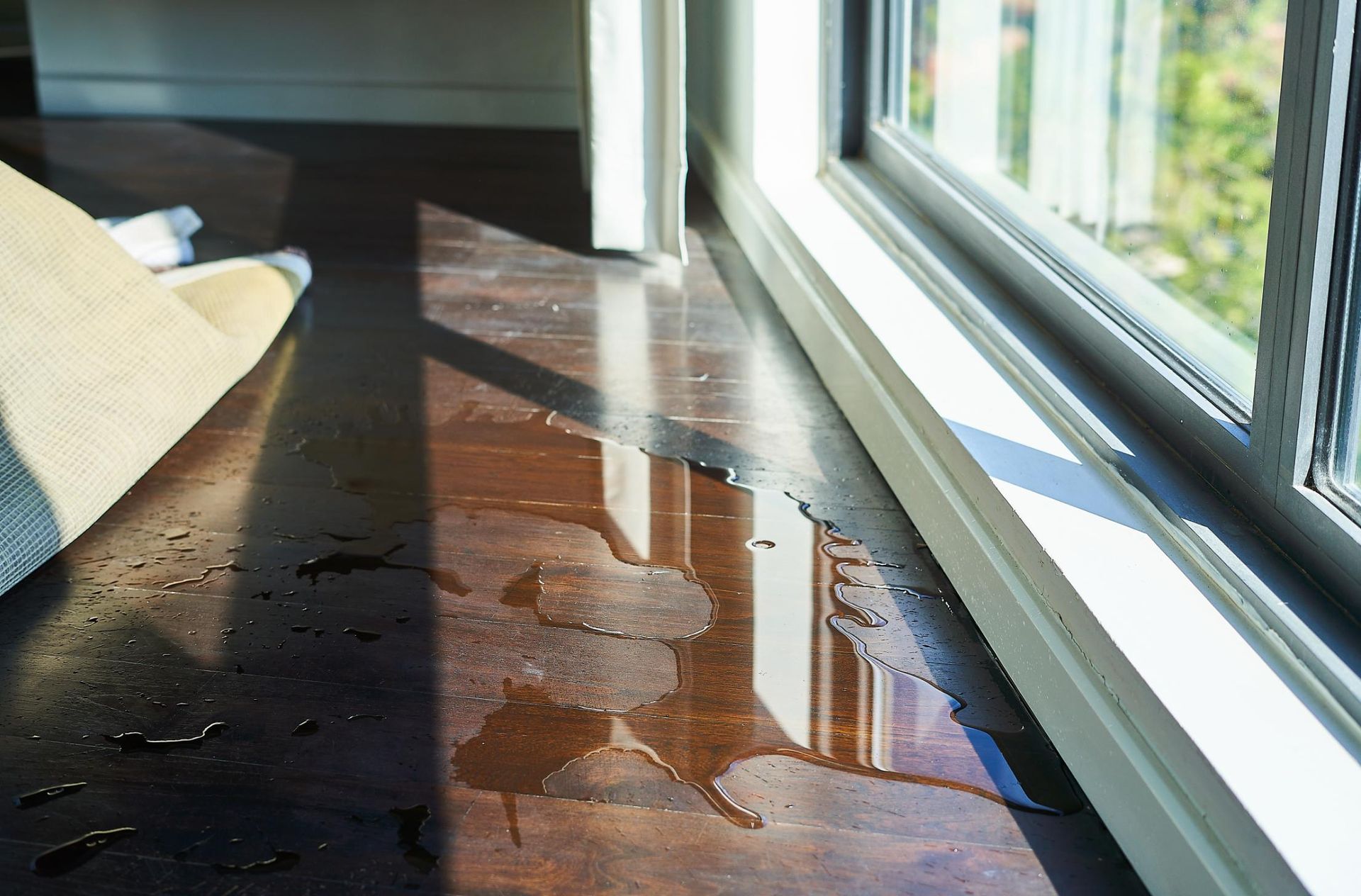 Water puddle on hardwood floor near a window, reflecting sunlight. 