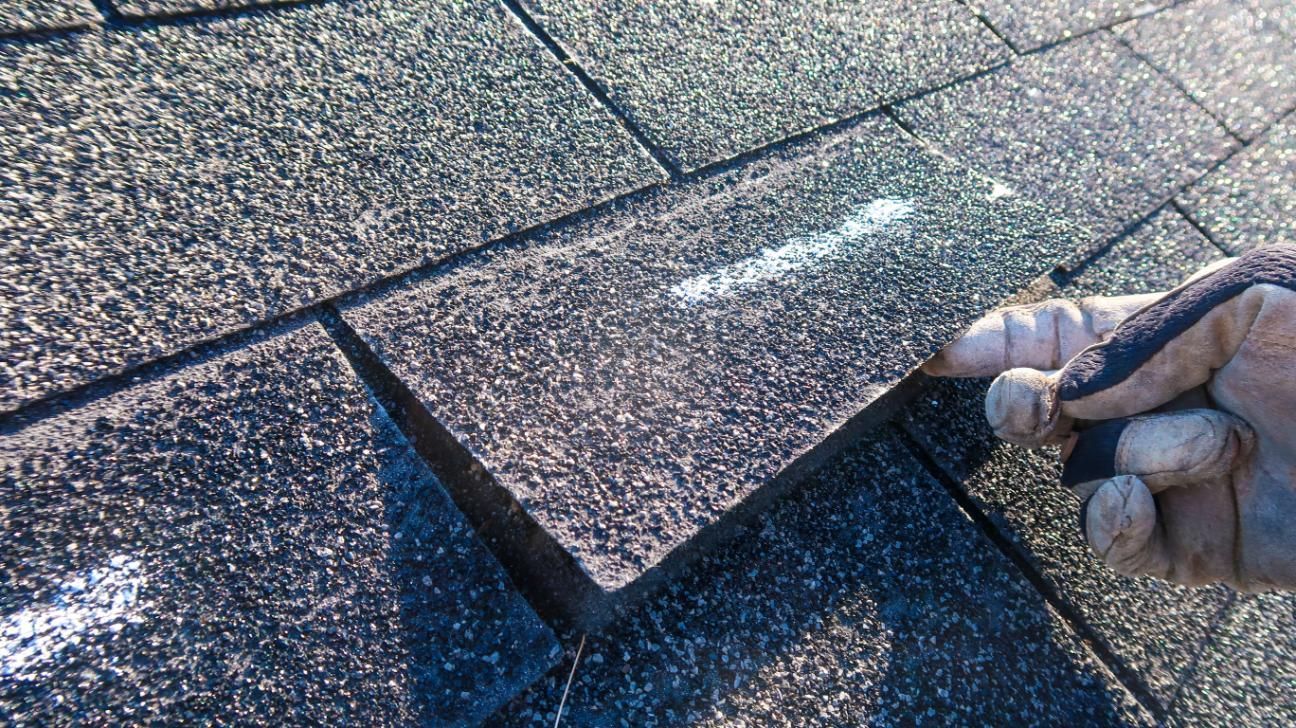 Gloved hand lifts damaged asphalt shingle on a textured roof, white markings visible.