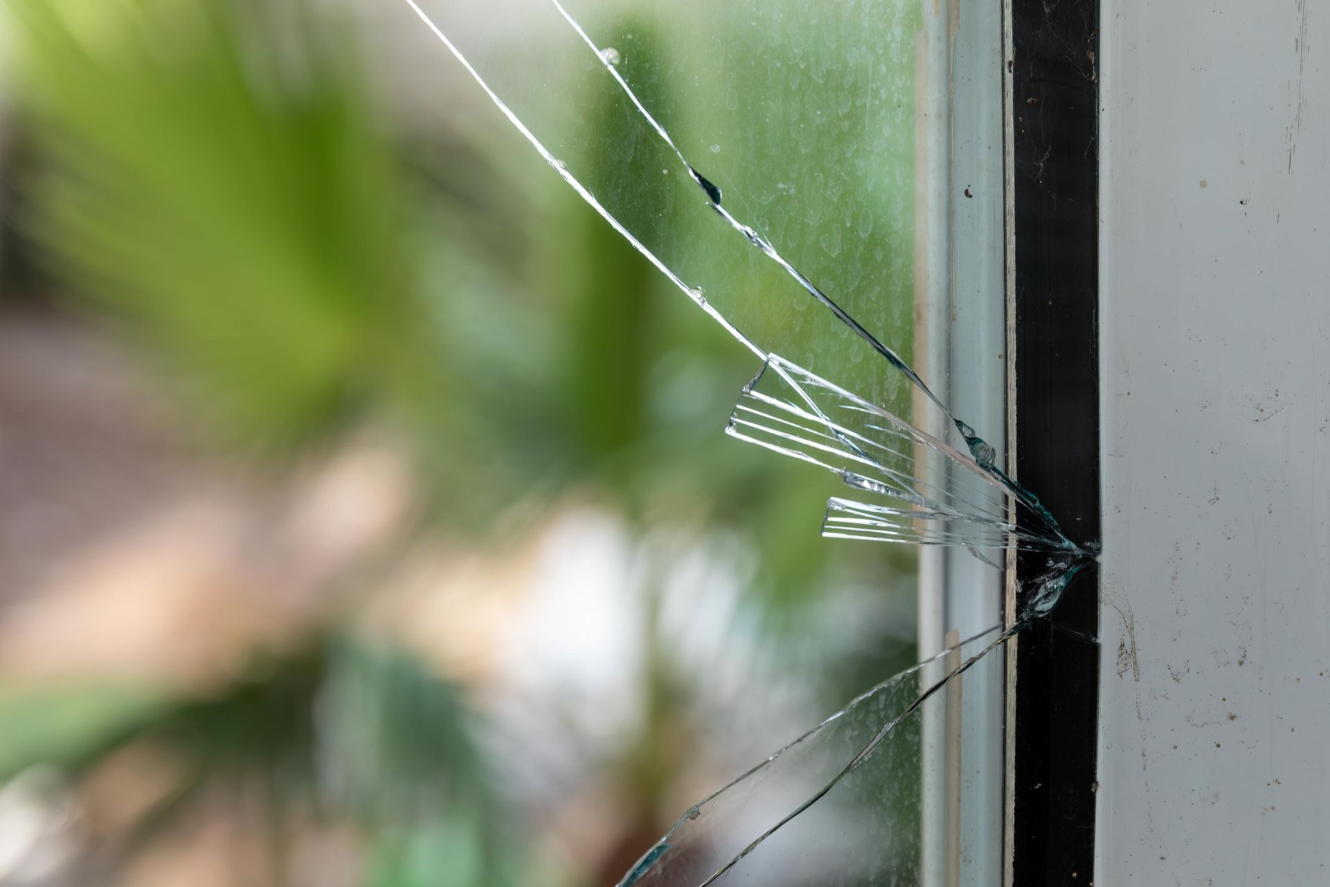 Cracked glass window with several fractures, white frame, blurry green foliage in background.