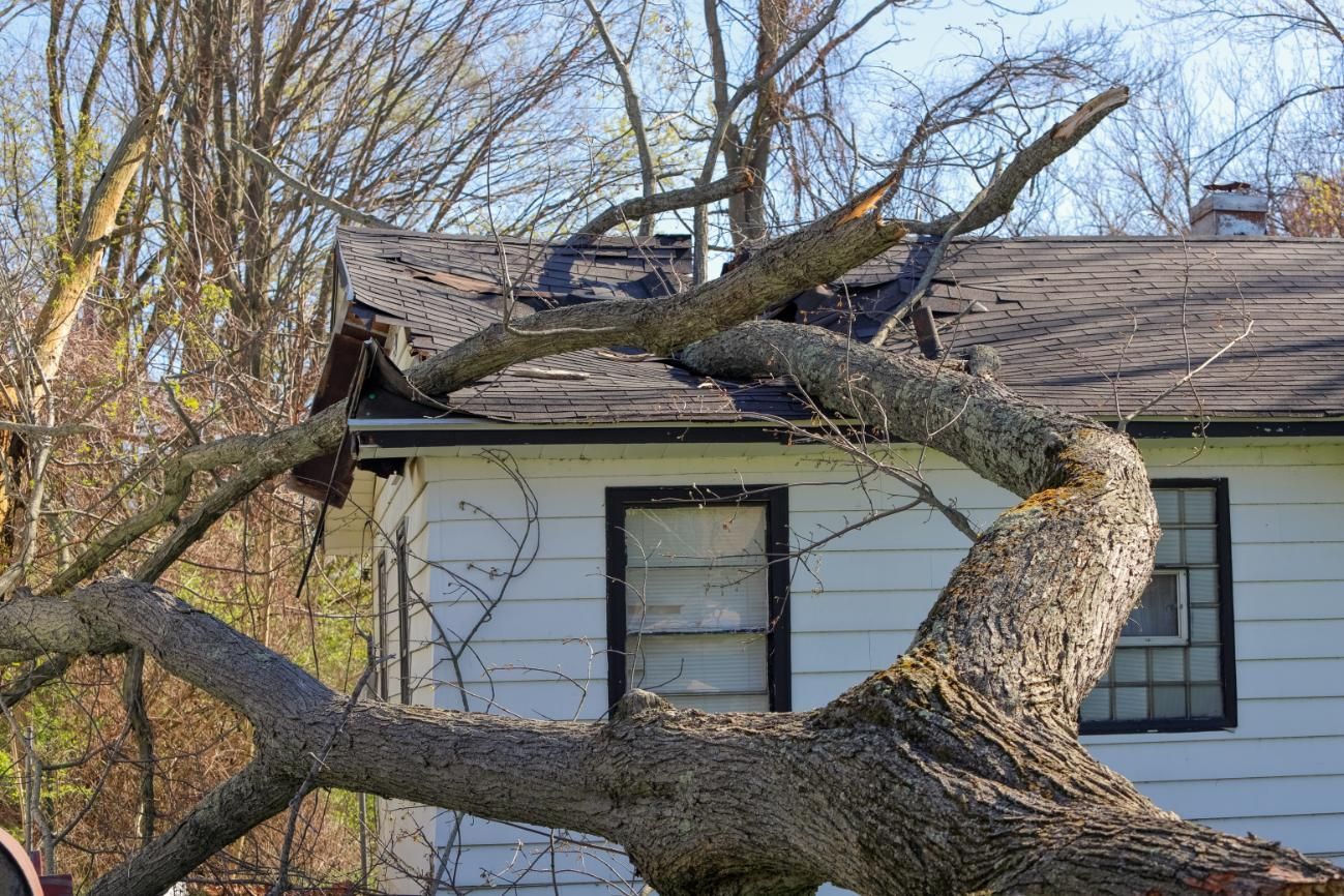 Fallen tree branch on a white house roof, damaging the shingles.