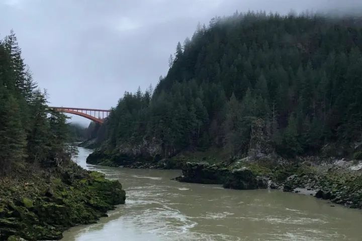 There is a bridge over a river surrounded by trees.