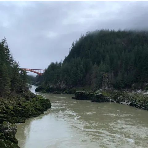 A river flowing through a forest with a bridge in the background.