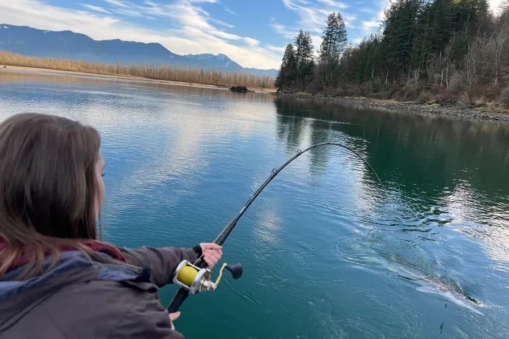 A woman is fishing in a lake with mountains in the background