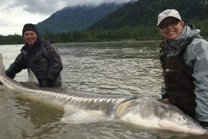 Two people are standing next to a large fish in the water.