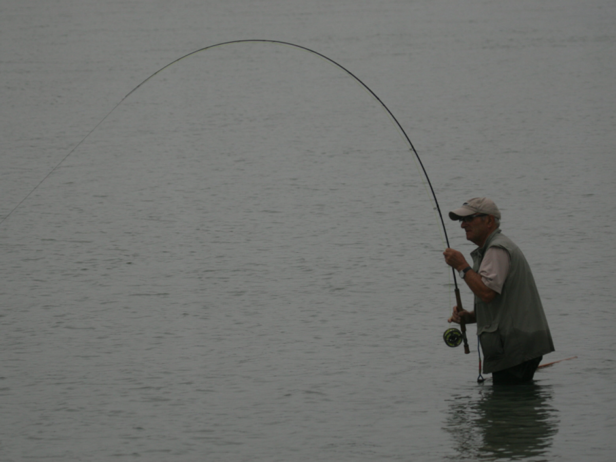 A man is fishing in the water with a long rod