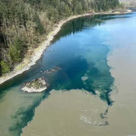 A river with a small island in the middle of it