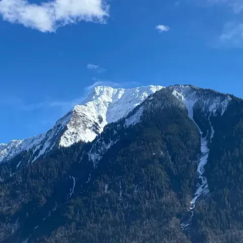 A mountain covered in snow and trees with a blue sky in the background.