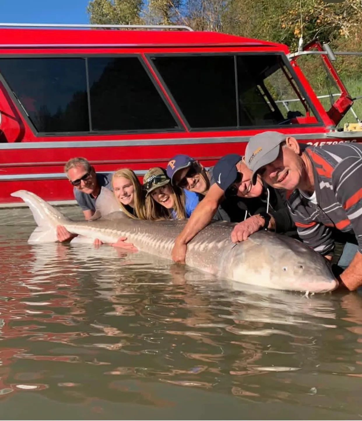 A group of people are posing with a large fish in the water.