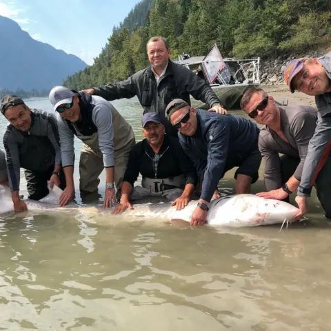 A group of men standing around a large fish in the water