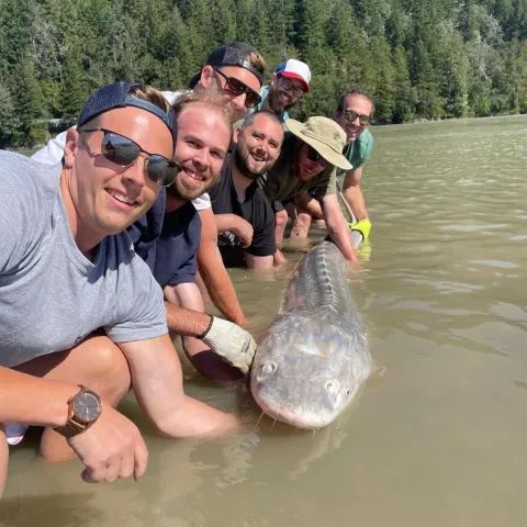 A group of men are posing for a picture with a large fish in the water.