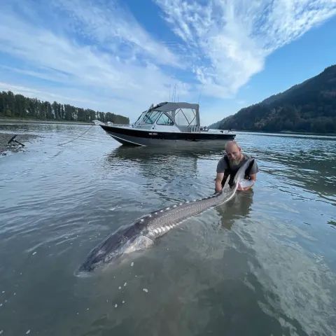 A man is holding a large fish in the water next to a boat.