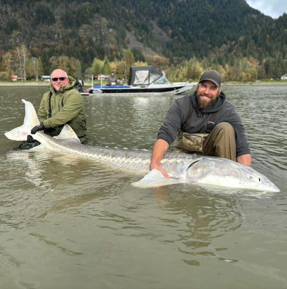 Two fishermen in river with sturgeon and boat in background.