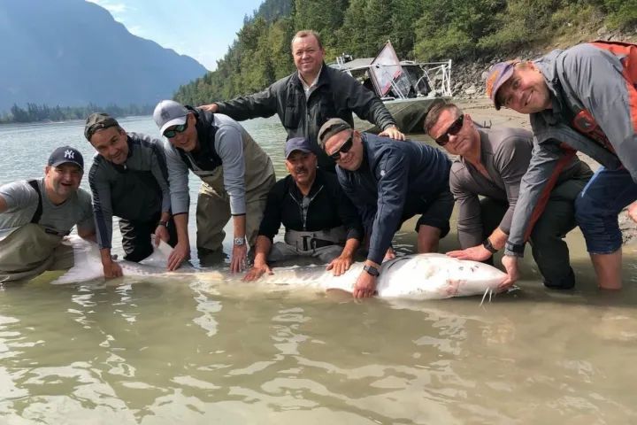 A group of men are posing for a picture with a large fish in the water.