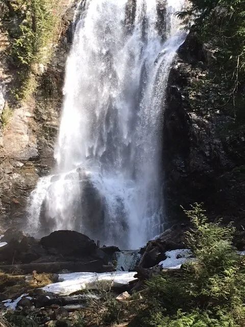 A waterfall is surrounded by trees and rocks in the middle of a forest.