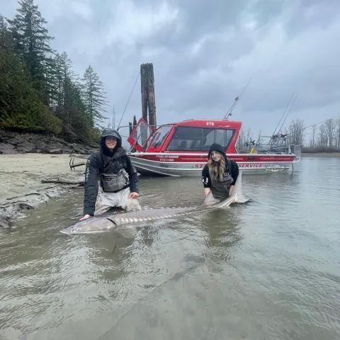 A man and a woman are standing next to a large fish in the water.